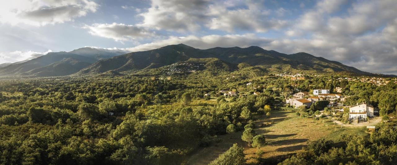 Domaine Pedra Llampada Gite Cerise Villelongue-dels-Monts 외부 사진